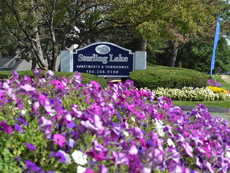 Serene, Park-Like Setting at Sterling Lake Apartments,Sterling Heights MI